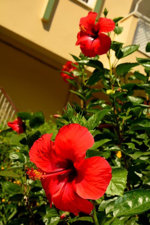 Appart hôtel Melissa Garden